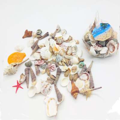 1 pound natural mixed colored craft aquarium vase filler seashells for home decor