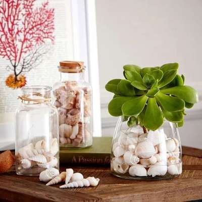 Wholesale Sea Shell For Home Decoration